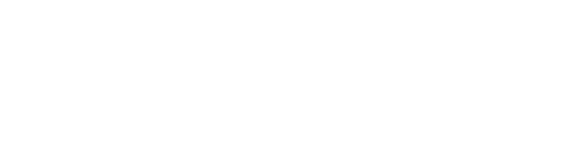 Vizius